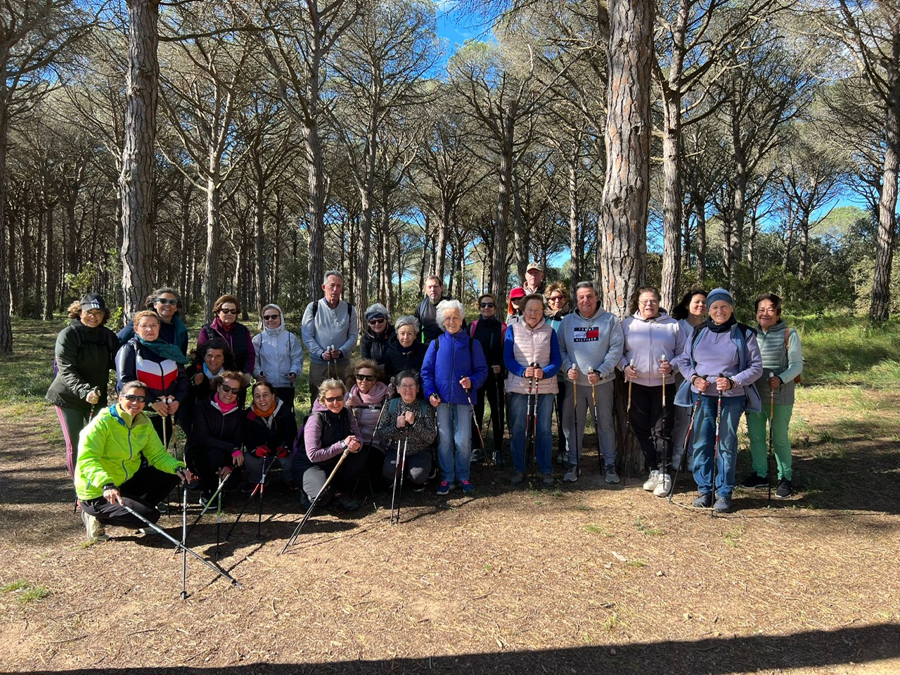 Activitat del DMAF a Palafrugell