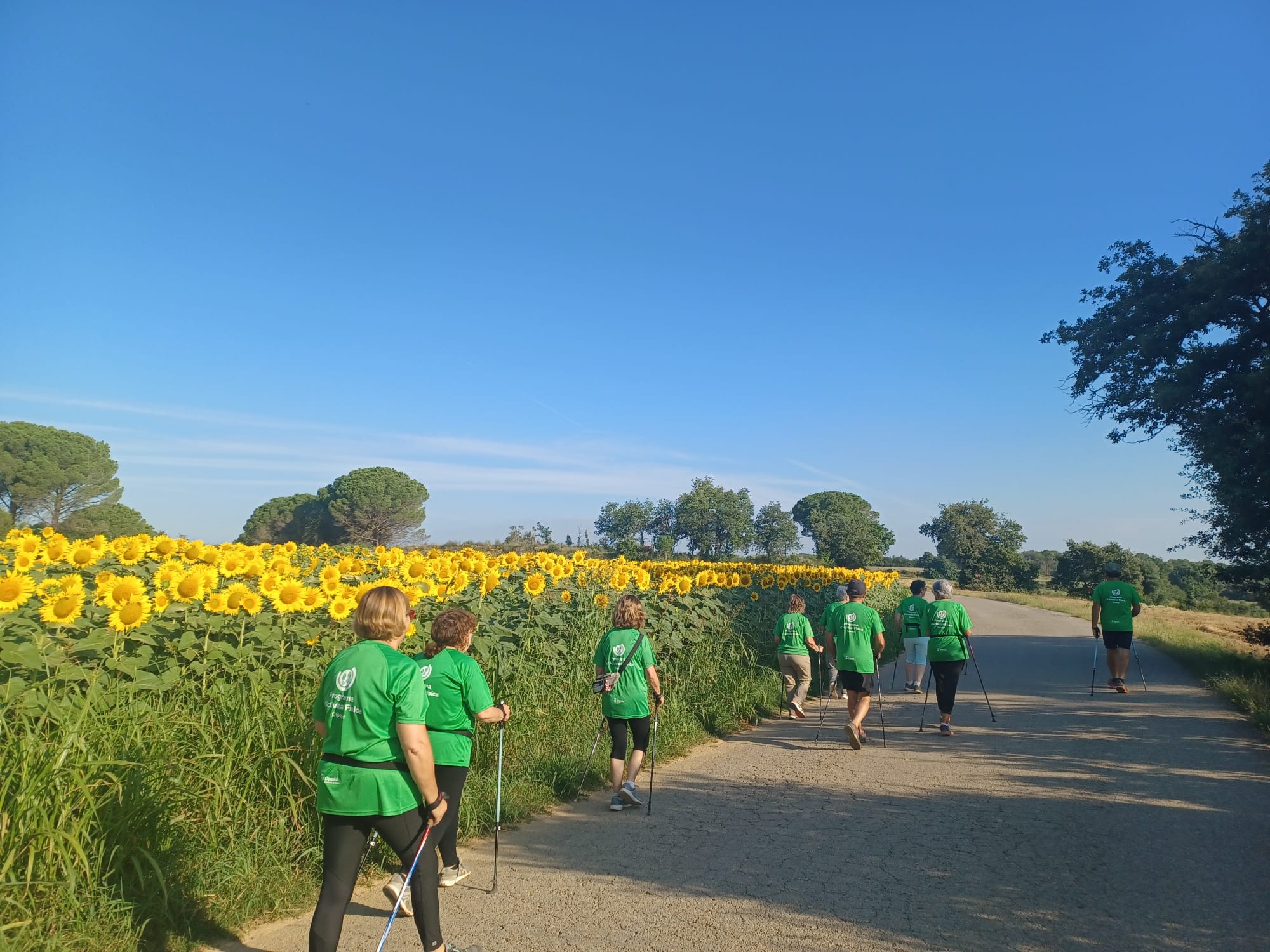 Caminada pel municipi