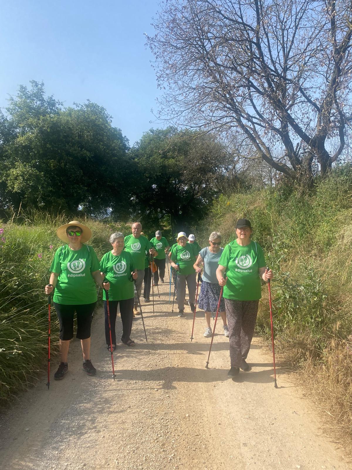 Caminada per les Serres de Medinyà