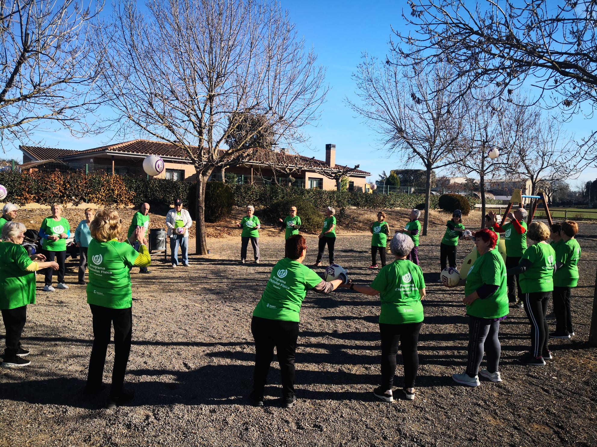 Exercicis en rotllana
