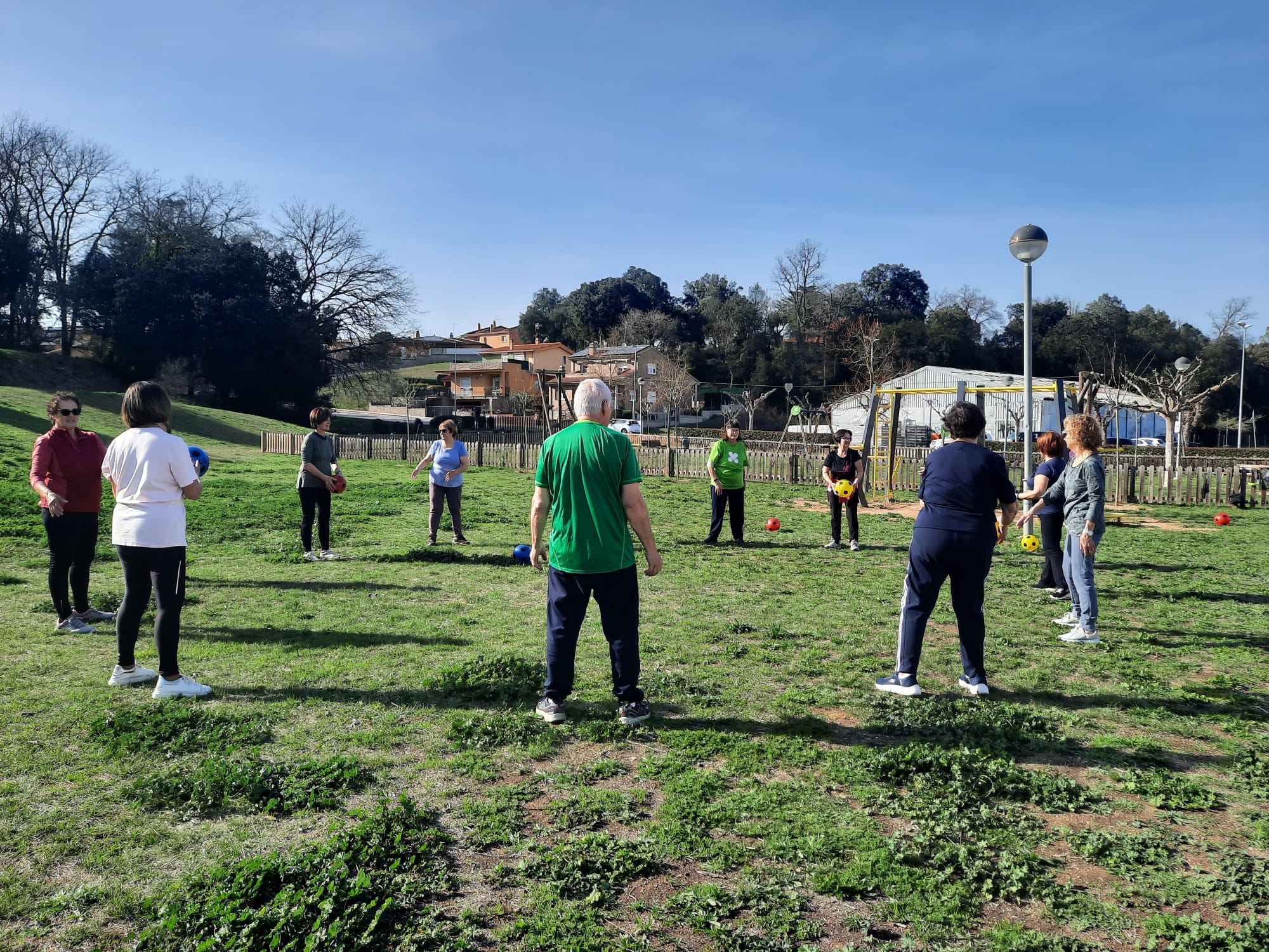 Dinàmica en rotllana