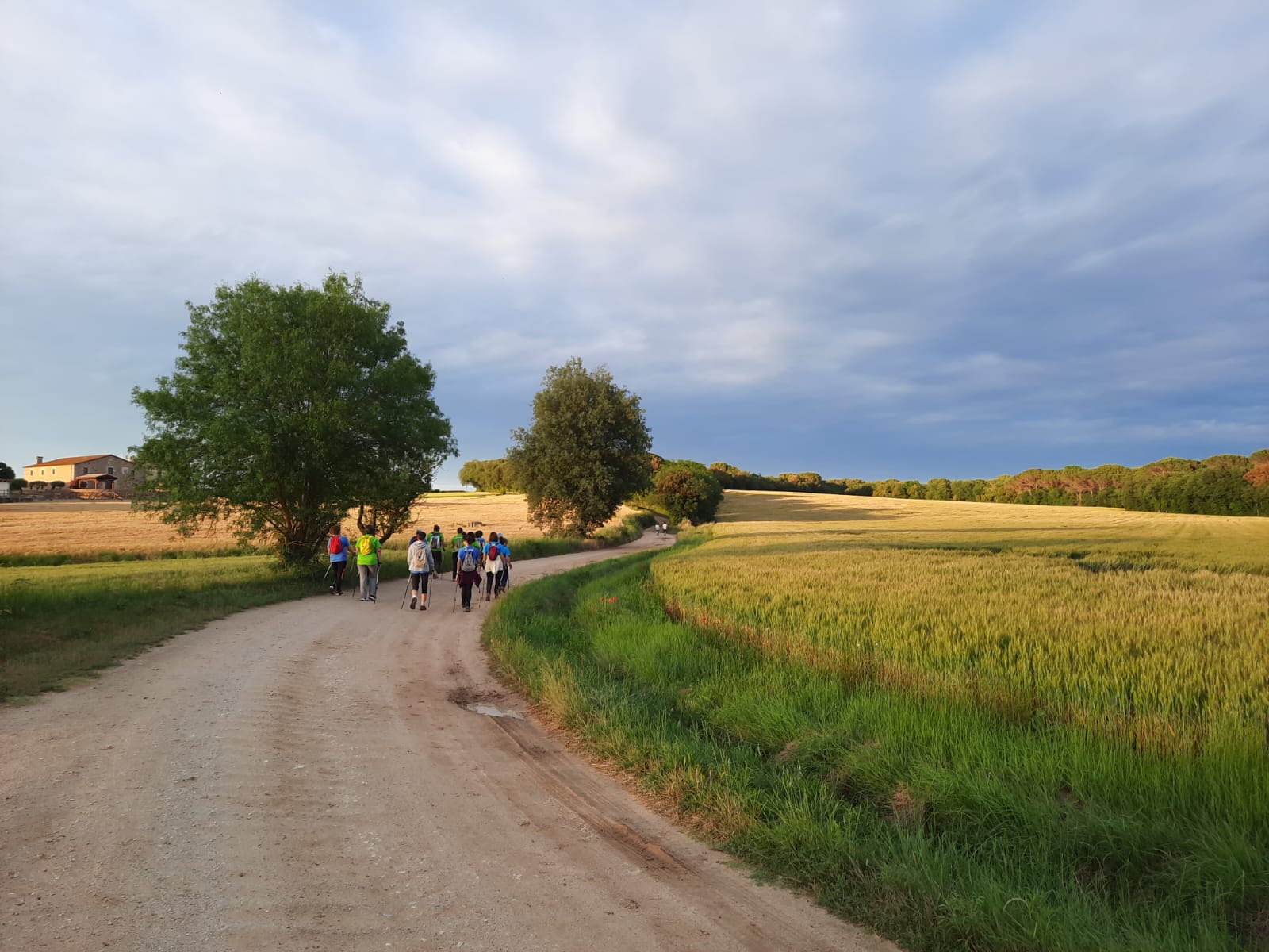 Itinerari pel Camp dels Ninots de Caldes de Malavella