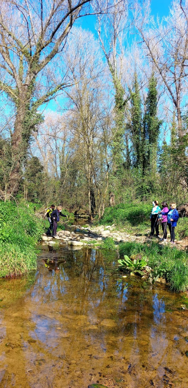 Caminada per Sant Gregori