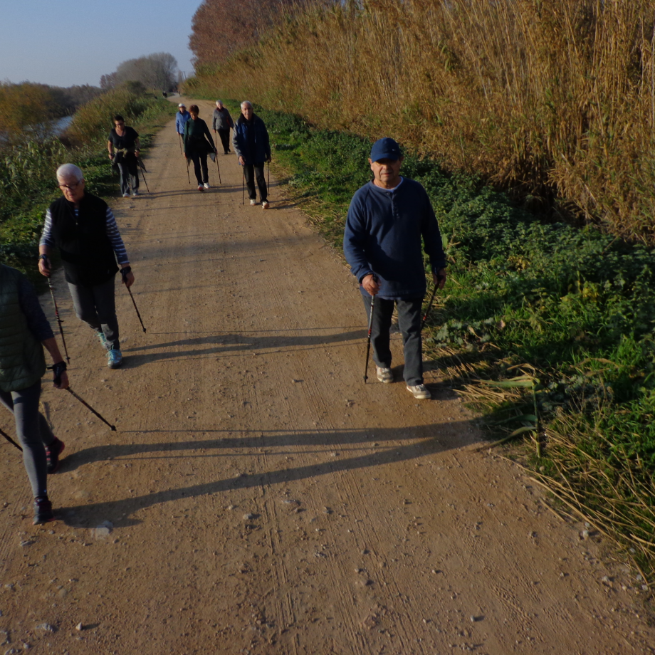 Caminada per Torroella de Montgrí