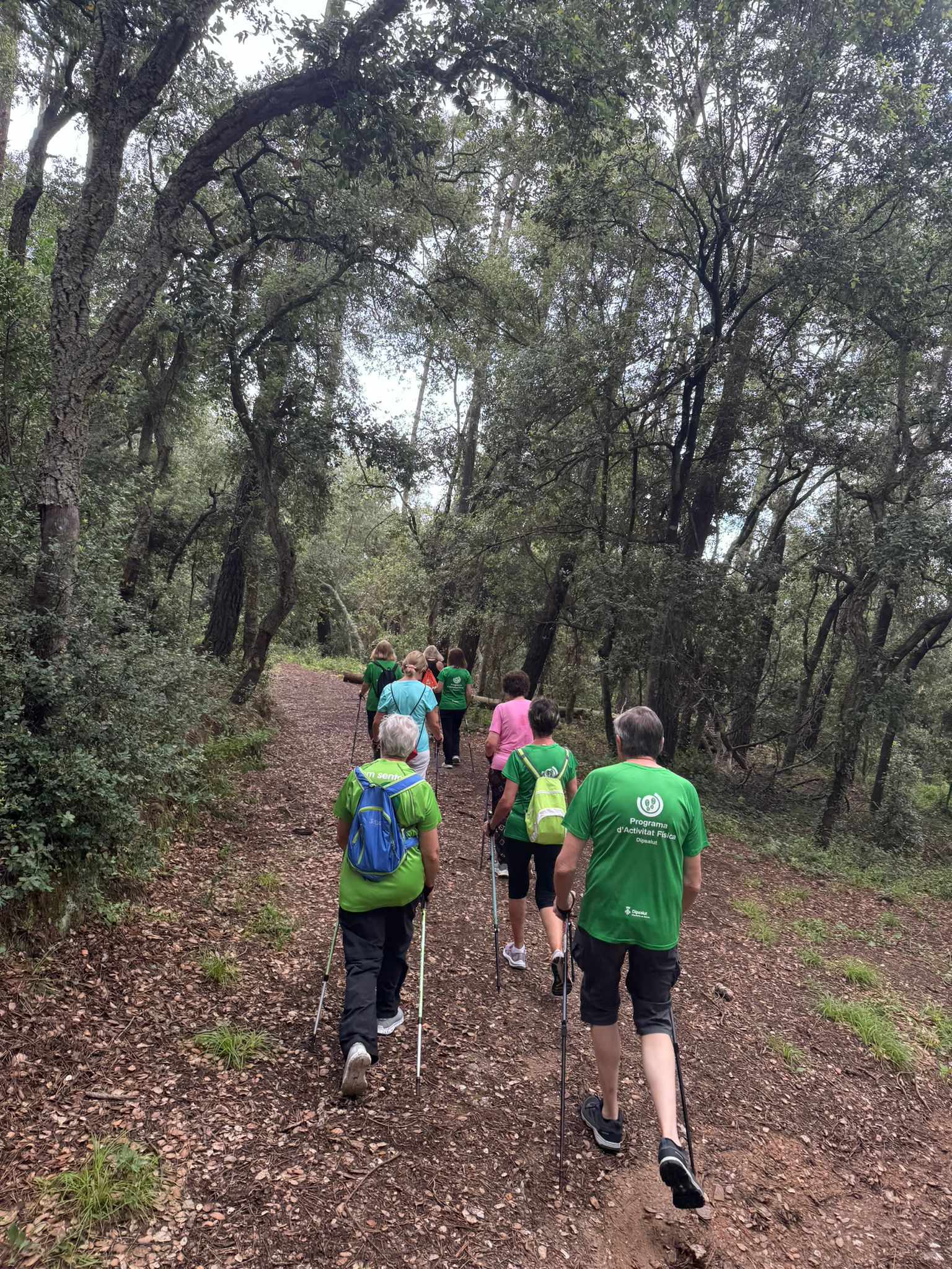 Caminada pel municipi