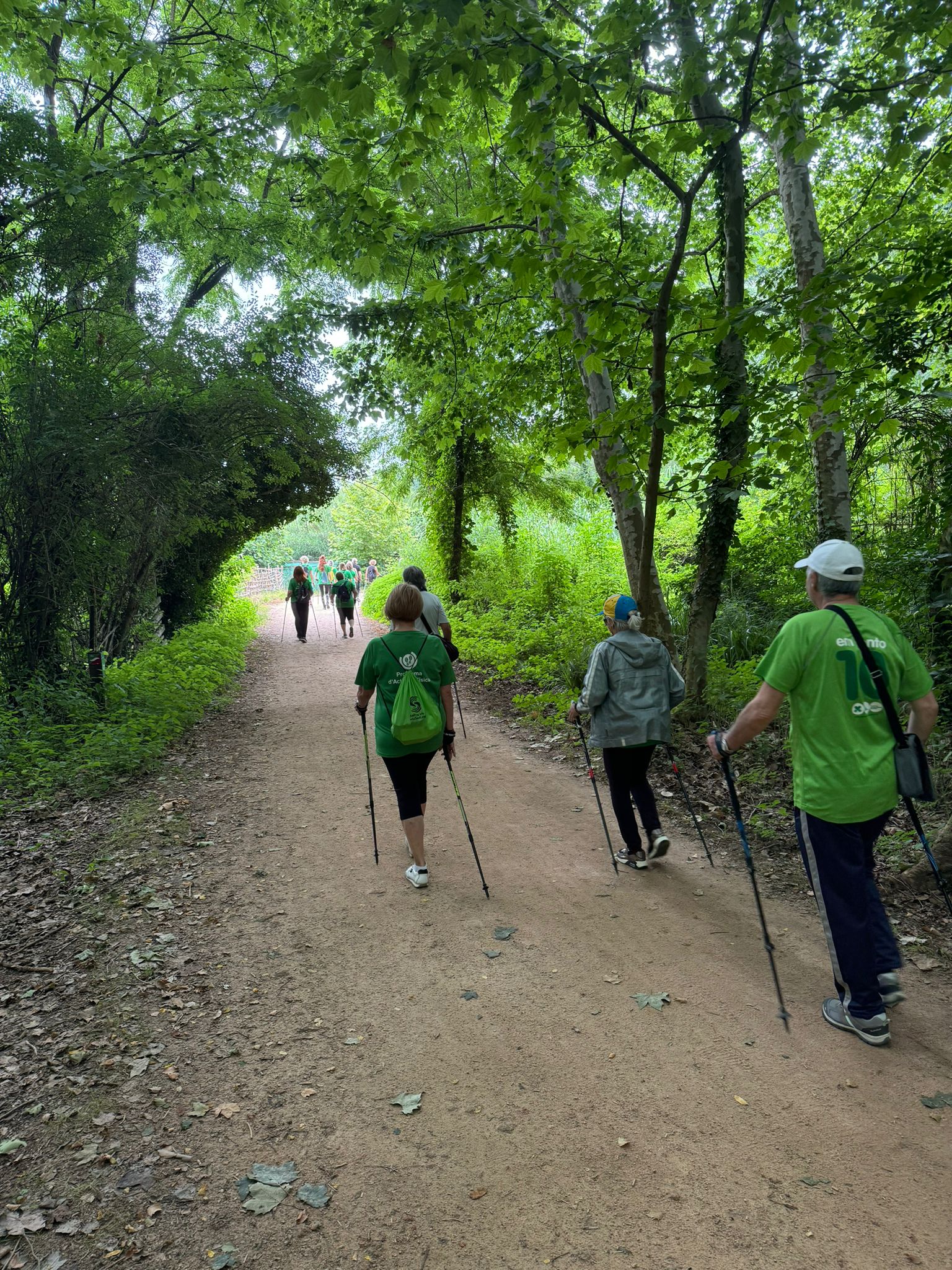 Caminada pel municipi